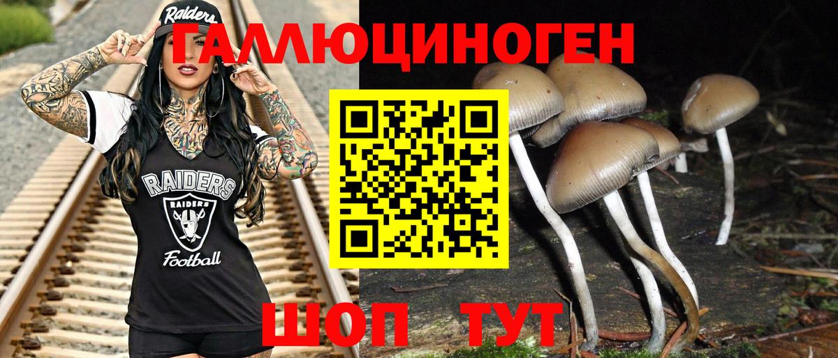 Псилоцибиновые грибы Cubensis Строитель
